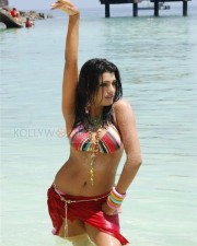 Telugu Actress Tashu Kaushik Spicy Pictures 01
