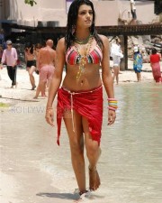 Telugu Actress Tashu Kaushik Spicy Pictures 02