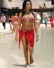 Telugu Actress Tashu Kaushik Spicy Pictures 02