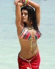 Telugu Actress Tashu Kaushik Spicy Pictures 09