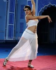 Telugu Actress Tashu Kaushik Spicy Sexy Photos 05