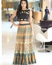 Telugu Beauty Avantika Mishra Pictures 01