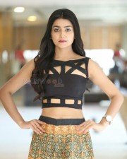 Telugu Beauty Avantika Mishra Pictures 04