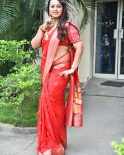 Tenant Actress Ester Noronha Glam Saree Photoshoot Pictures 44