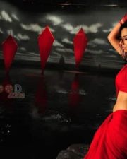 Tolly Actress Isha Chawla Hot Pictures 01