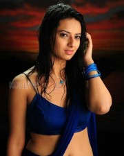 Tolly Actress Isha Chawla Hot Pictures 02