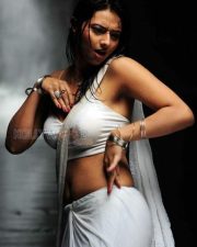 Tolly Actress Isha Chawla Hot Pictures 11