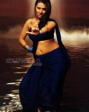 Tolly Actress Isha Chawla Hot Pictures 13