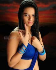 Tolly Actress Isha Chawla Hot Pictures 19