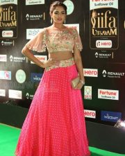 Actress Asmita Sood At Iifa Utsavam 2017 Photos 17