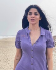 Beautiful Divya Bharathi in a Lavender Knee Length Dress at the Beach Photos 01
