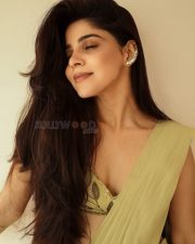 Elegant Beauty Divya Bharathi in a Pastel Green Stylish Saree with an Embroidered Sleeveless Blouse Photos 04