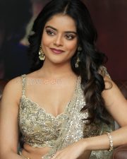 Heroine Riddhi Kumar at The Raja Saab Movie Success Meet Pictures 08