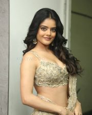 Heroine Riddhi Kumar at The Raja Saab Movie Success Meet Pictures 43