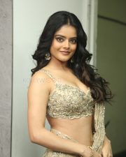 Heroine Riddhi Kumar at The Raja Saab Movie Success Meet Pictures 43