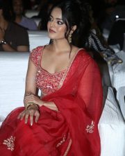 Red Hot Actress Riddhi Kumar at The Rajasaab Pre Release Party Pictures 25
