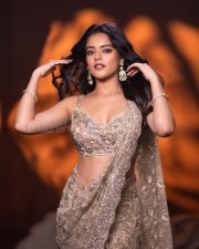 Resplendent Actress Riddhi Kumar in a Champagne Gold Embellished Saree Photos 02 Resplendent Actress Riddhi Kumar in a Champagne Gold Embellished Saree Photos 02