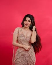 Sexy Stunner Divya Bharathi in a Champagne Gold Sequin One Shoulder Saree with a Strapless Cleavage Corset Blouse Photos 04