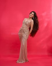 Sexy Stunner Divya Bharathi in a Champagne Gold Sequin One Shoulder Saree with a Strapless Cleavage Corset Blouse Photos 08