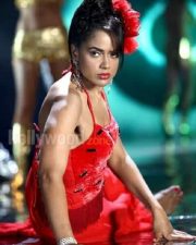 South Indian Actress Sameera Reddy Photos 01