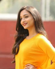 Actress Srinidhi Shetty At Kgf Success Meet Photos 17
