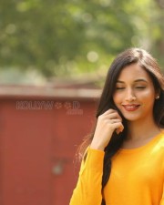 Actress Srinidhi Shetty At Kgf Success Meet Photos 19