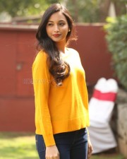 Actress Srinidhi Shetty At Kgf Success Meet Photos 20