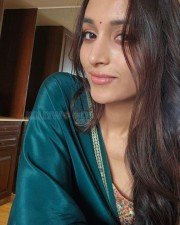 Beautiful Srinidhi Shetty in a Green Saree Pictures 04