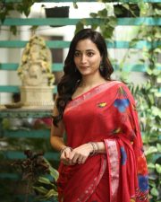 Heroine Srinidhi Shetty at Telusu Kada Movie Interview Photos 97