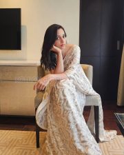 Luminous Actress Shrinidhi Shetty in a White Gold Sequined Saree Photos 03 Luminous Actress Shrinidhi Shetty in a White Gold Sequined Saree Photos 03