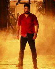 Pattampoochi Movie Photos 08