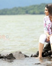 Pichaikkaran Movie Heroine Satna Titus Stills 03