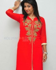 Actress Geethanjali New Pictures 01