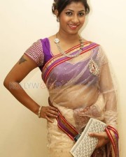 Actress Geethanjali Saree Pictures 01