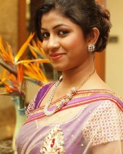 Actress Geethanjali Saree Pictures 06