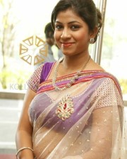 Actress Geethanjali Saree Pictures 15