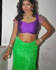 Actress Geethanjali Spicy Hot Pictures 06