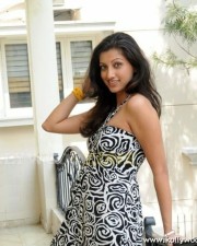 Actress Hamsa Nandhini Hot Pics 06