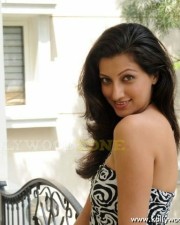 Actress Hamsa Nandhini Hot Pics 09