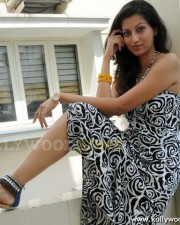 Actress Hamsa Nandhini Hot Pics 24