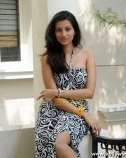 Actress Hamsa Nandhini Hot Pics 30