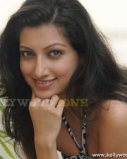 Actress Hamsa Nandhini Hot Pics 35