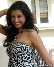Actress Hamsa Nandhini Hot Pics 48