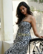 Actress Hamsa Nandhini Hot Pics 49