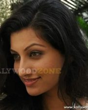 Actress Hamsa Nandhini Hot Pics 53