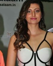 Actress Hamsa Nandini Latest Sexy Pictures 15