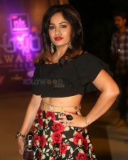 Actress Madhavi Latha At Zee Aspara Awards 2018 Photos 01