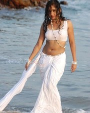 Actress Madhavi Latha Hot Sexy Wet Saree Photos 01