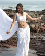 Actress Madhavi Latha Hot Sexy Wet Saree Photos 03