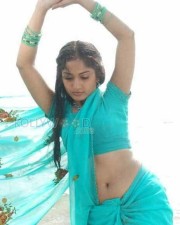 Actress Madhavi Latha Hot Sexy Wet Saree Photos 05